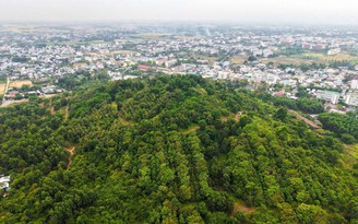 Rừng thiêng giữa phố: Rừng Thiên Bút và trầm tích ngàn năm