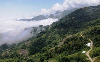 'Canh' quốc bảo trên đỉnh Ngọc Linh