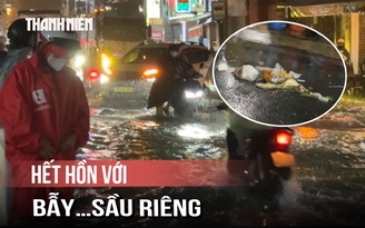 Mưa rút, người dân hoảng hồn với bẫy bằng… sầu riêng