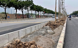 Chủ đầu tư nói gì khi trồng cây trên nền đá dăm ở đường Võ Chí Công?