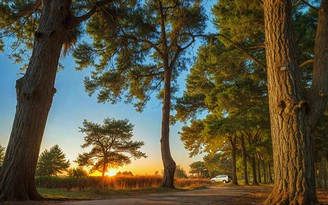Tour sinh thái rừng - biển mở dư địa mới cho Gia Lai