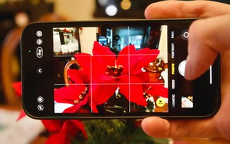 Vì sao camera iPhone đột nhiên hiện biểu tượng bông hoa?