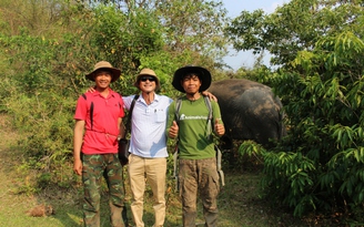 Vào rừng sâu Liên Sơn Lắk tìm voi sống tự do giữa đại ngàn Tây nguyên