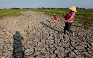 Chủ động ứng phó El Nino đang gia tăng cường độ