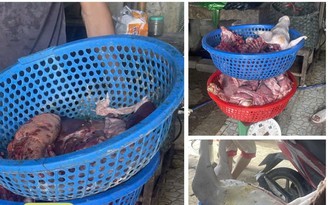 Ngang nhiên tiêu thụ lợn nhiễm bệnh