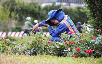 Nắng nóng cực đoan: Hiểm họa với người bệnh tim mạch