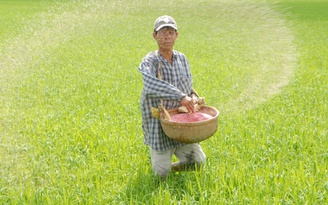 Giá phân bón tiếp tục tăng cao, nhà nông lao đao