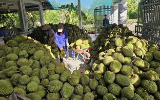 Xuất khẩu nông sản 'lãi ròng' lớn