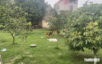 11 anh em kiện chia đất, ròng rã 4 năm, tóc bạc trắng vẫn chưa hồi kết