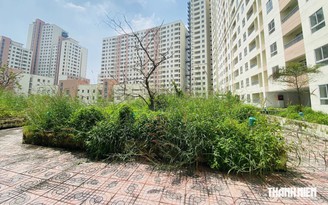 ‘Hồi sinh’ nhà tái định cư bỏ hoang