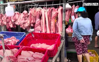 Giá heo hơi hôm nay 17.7.2026: Tạm ngừng đà tăng