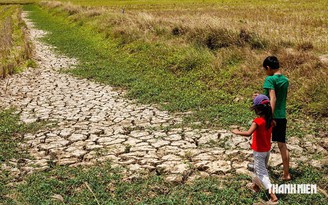 'Siêu El Nino' sắp xuất hiện, ứng phó thế nào?