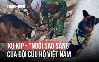 Được đeo huân chương ở Venezuela, 8 chú chó nghiệp vụ Việt Nam có gì đặc biệt?