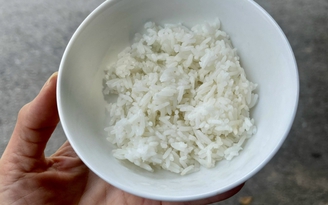 Cơm nguội có thật sự giúp kiểm soát đường huyết?
