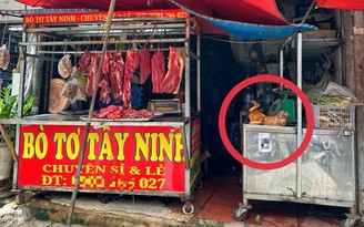 Phố thịt chó một thời ở TP.HCM thưa vắng, vì sao vẫn còn người bán cầy tơ?