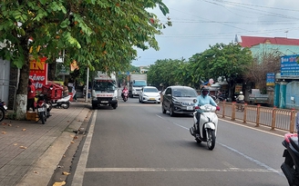 Tán cây xòe ra đường