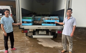 Dùng ô tô chở 105 cá thể dúi từ Lào về Việt Nam, một người bị khởi tố