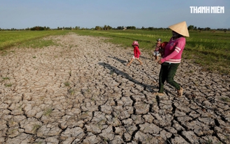Tin tức đặc biệt trên báo in Thanh Niên 17.8.2026