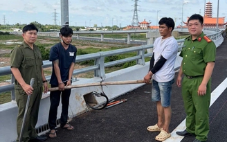 Bắt 2 nghi can trộm dây điện chiếu sáng cao tốc Biên Hòa - Vũng Tàu