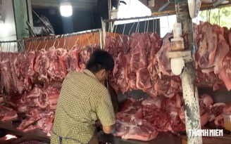 Giá heo hơi hôm nay 17.8.2026: Lùi gần về mốc 55.000 đồng/kg