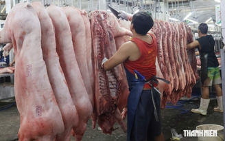 Mỗi ngày TP.HCM giết mổ hơn 858 tấn thịt, kiểm soát an toàn thực phẩm ra sao?