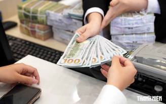 Giá USD hôm nay 19.8.2026: Giảm xuống dưới 26.000 đồng