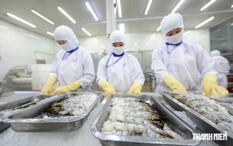 Các FTA tạo cú hích cho xuất khẩu