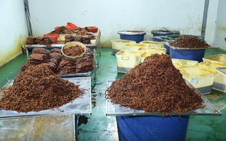Tin tức đặc biệt trên báo in Thanh Niên 26.8.2026