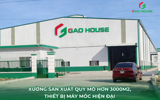 Đồng phục Gạo House: Giải pháp chuyên nghiệp cho vị thế doanh nghiệp
