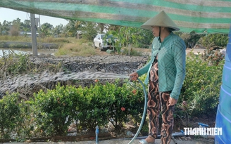Cà Mau đưa nước sạch về vùng khó khăn trước mùa khô 2027