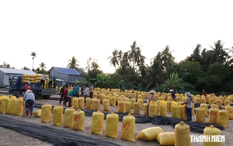 Tin tức đặc biệt trên báo in Thanh Niên 11.9.2026