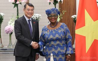Việt Nam là minh chứng tiêu biểu cho sự thành công của WTO