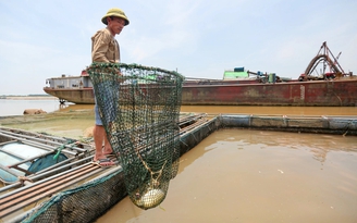 El Nino cường độ rất mạnh, 29 triệu dân hạ du thiếu nước