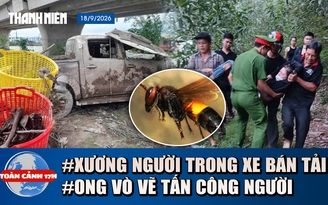 Toàn cảnh 17h: Phát hiện xương người trong xe bán tải dưới sông | Ong vò vẽ tấn công khi đi hái nấm