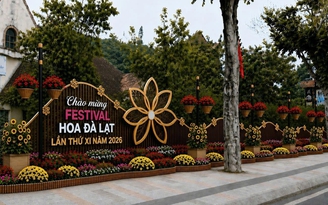 Festival Hoa 2026: Phường Xuân Hương - Đà Lạt vận động nhà nhà trồng hoa