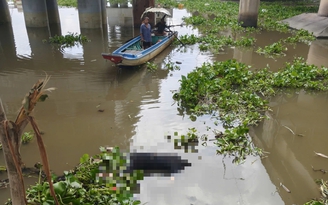 Công an TP.HCM tìm thân nhân thi thể nam giới dưới chân cầu Bình Phước 2 Công an TP.HCM tìm thân nhân thi thể nam giới dưới chân cầu Bình Phước 2