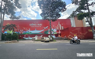 Đồng Nai 'vào mùa' đấu giá đất