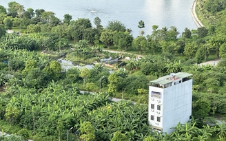 Cựu bí thư phường được giao đất chính sách sai đối tượng