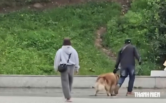 Công an làm rõ vụ đánh chó Alaska ở quảng trường Lâm Viên Đà Lạt