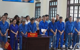 Cựu Tổng giám đốc Đồ hộp Hạ Long lĩnh án 19 năm tù