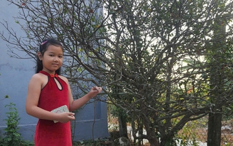 Con thi được học sinh xuất sắc