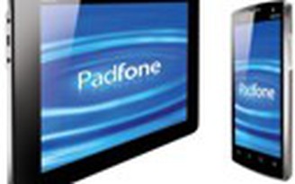 Asus Padfone “lộ” cấu hình