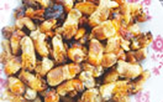 Về giồng ăn đuông
