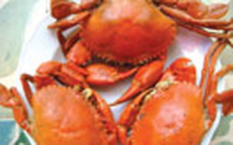 Thiếu vitamin gây mất trí nhớ