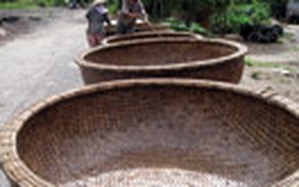 Xuất khẩu thuyền thúng