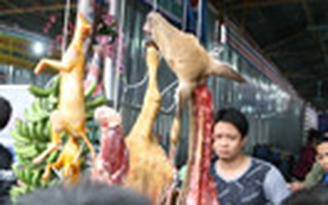 Bát nháo ở chùa Hương