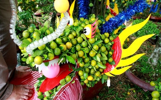 Hoa kiểng "hóa" rồng lên ngôi