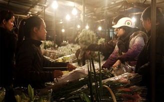 Tấp nập phiên cuối ở chợ hoa lớn nhất Hà Nội