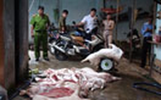 Bắt quả tang hai lò mổ heo lậu, trữ thịt thối