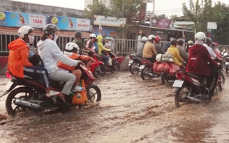Triều cường sắp chạm đỉnh lịch sử 1,60 m